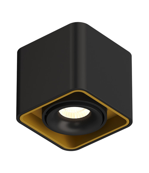 Накладной светодиодный светильник TUBING Black-Gold