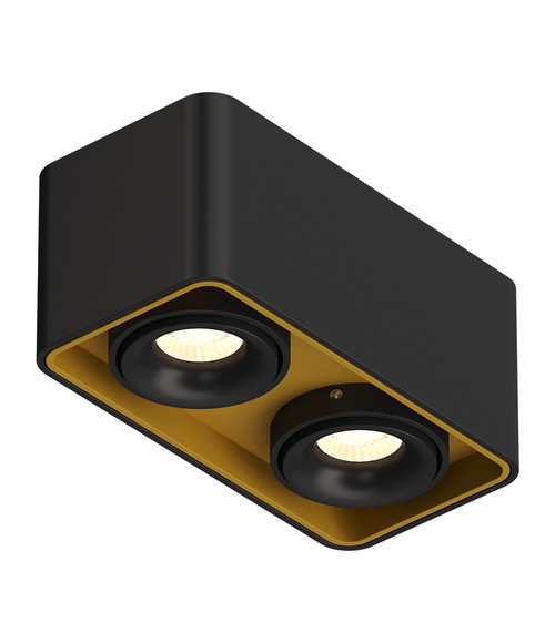 Накладной светодиодный светильник  TUBING 2 Black-Gold