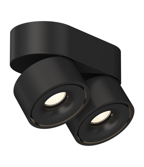 Накладной поворотный светодиодный светильник Ledron LH13W 2 TRIAC Black