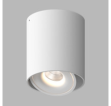 Накладной светодиодный светильник ORBIN TUB White