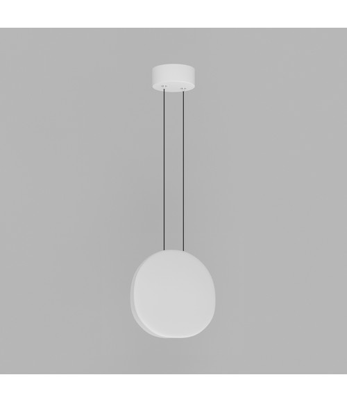 Подвесной светодиодный светильник Ledron 9203P/1B White