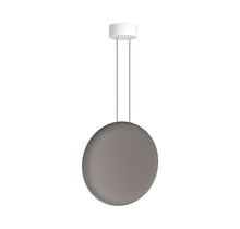 Подвесной светодиодный светильник Ledron 9203P/1D CFFEE