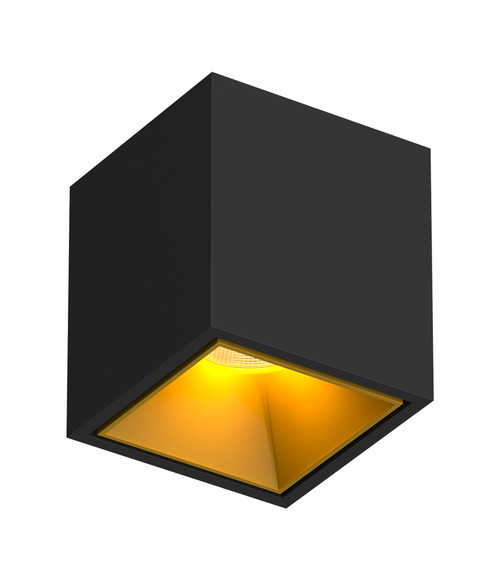 KUBING Black-Gold