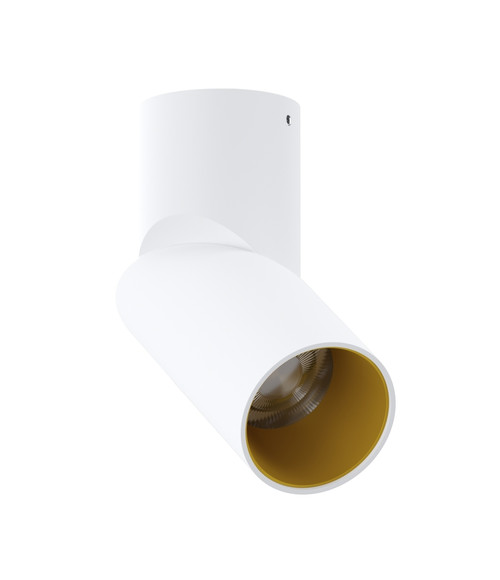 CSU0809 White-Gold