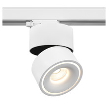 TLH13 White