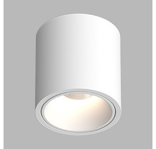 RINBOK White TRIAC