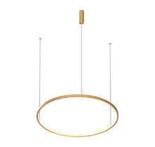 Подвесной светодиодный светильник LED ROUND R600 Brushed Gold