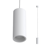SLC7391/7W-P White TRIAC