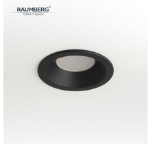 Светильник RAUMBERG TERRA F Black