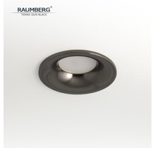 Светильник RAUMBERG TERRA Gun Black