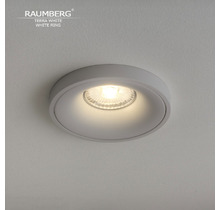 Светильник RAUMBERG TERRA White\White