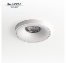 Светильник RAUMBERG TERRA White\White