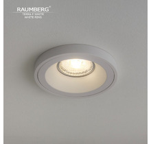 Светильник RAUMBERG TERRA F White\White