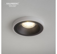 Светильник RAUMBERG TERRA F Black\White
