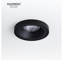 Светильник RAUMBERG TERRA F Black\Black