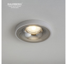 Светильник RAUMBERG TERRA Satin Nickel\White