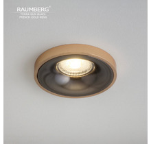 Светильник RAUMBERG TERRA Gun Black\French Gold